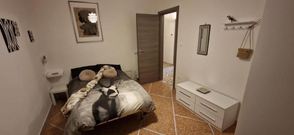 Migu Point Intero Appartamento פיזה מראה חיצוני תמונה